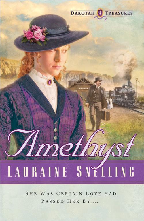 Cover of the book Amethyst (Dakotah Treasures Book #4) by Lauraine Snelling, Baker Publishing Group