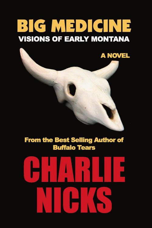 Cover of the book Big Medicine by Charlie Nicks, Xlibris US