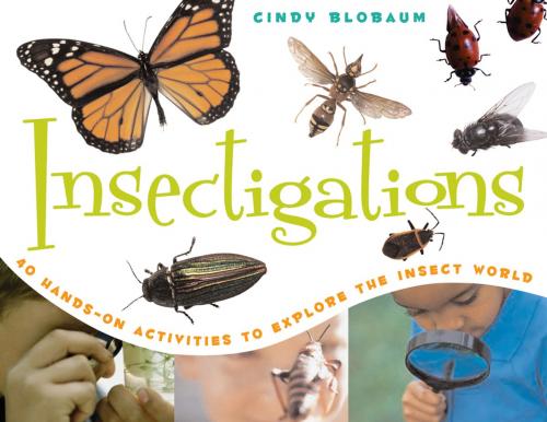 Cover of the book Insectigations by Cindy Blobaum, Chicago Review Press