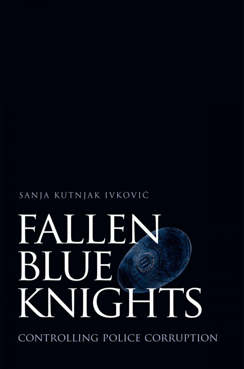 Big bigCover of Fallen Blue Knights