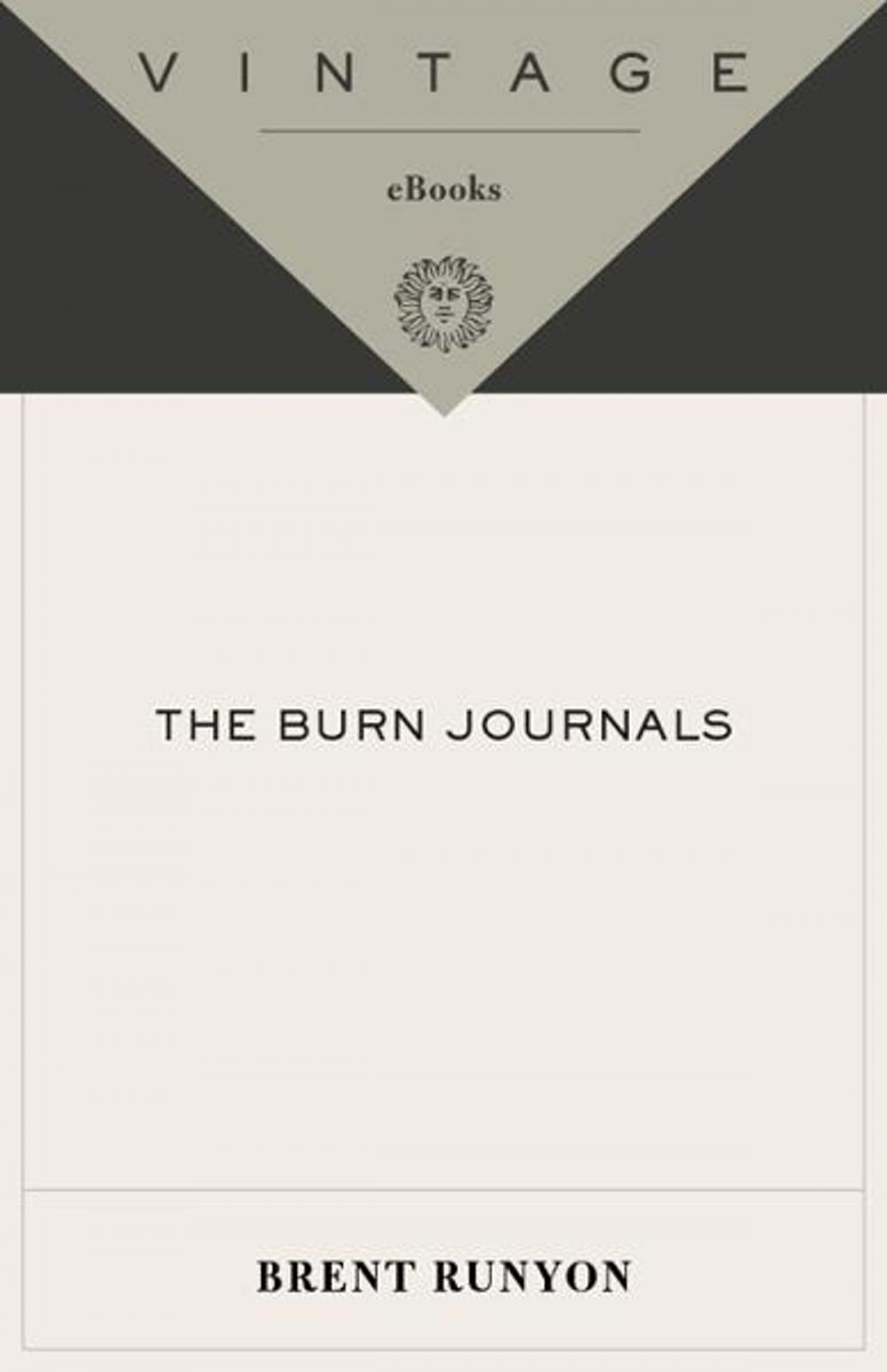 Big bigCover of The Burn Journals