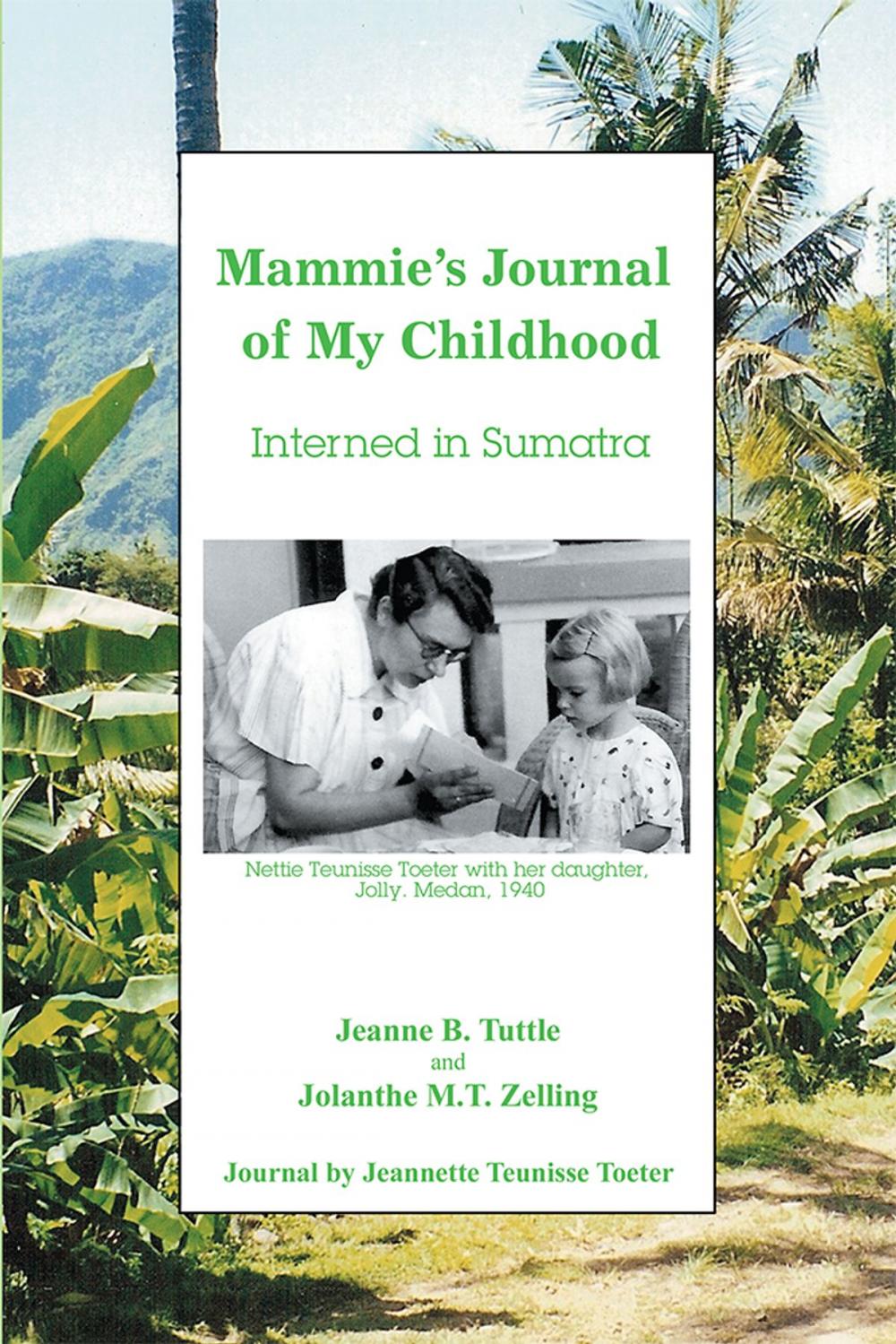 Big bigCover of Mammie's Journal of My Childhood