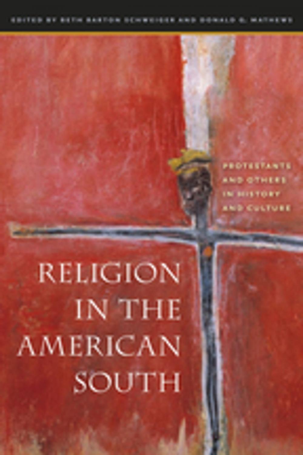 Big bigCover of Religion in the American South