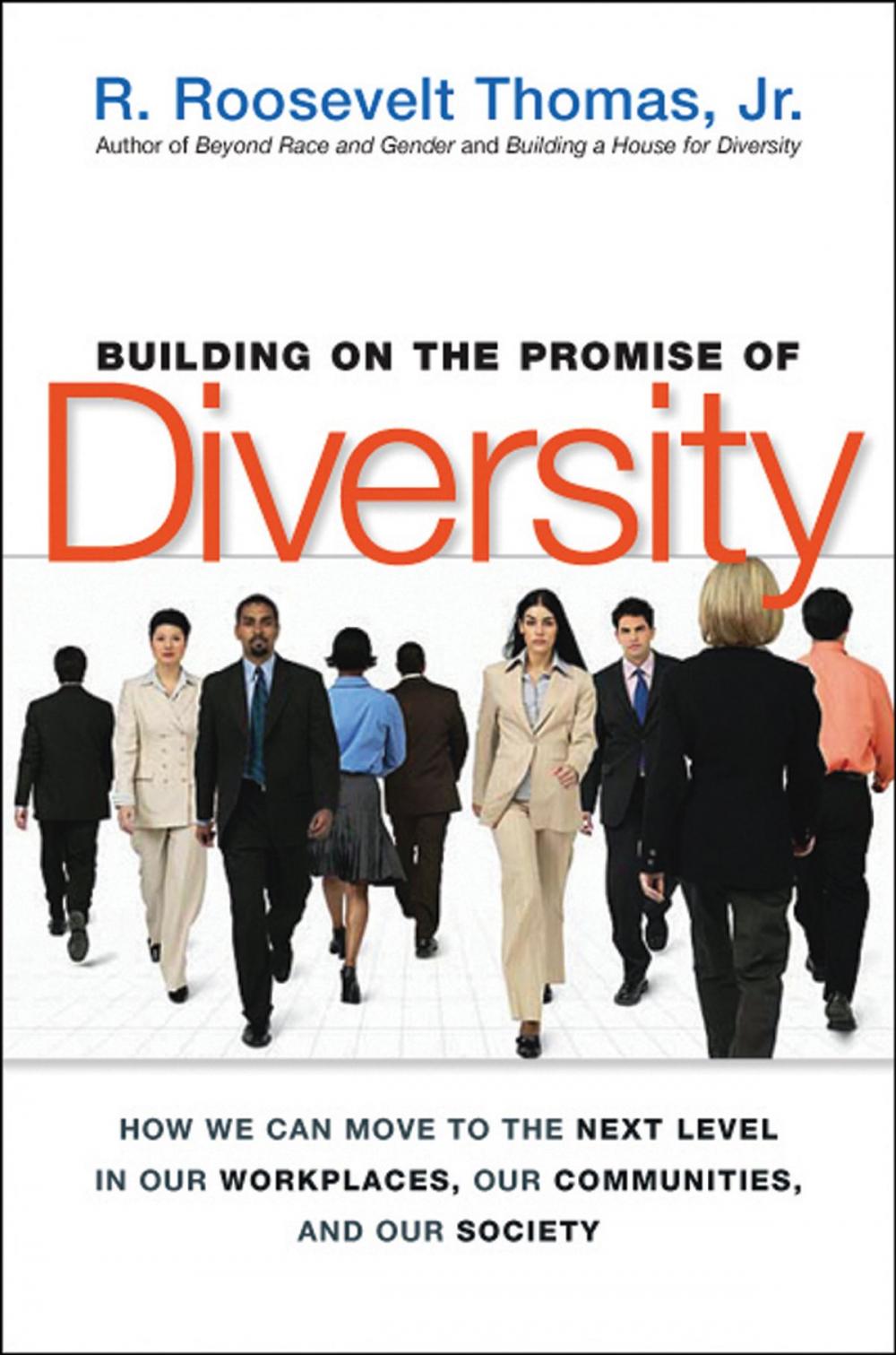 Big bigCover of Building on the Promise of Diversity