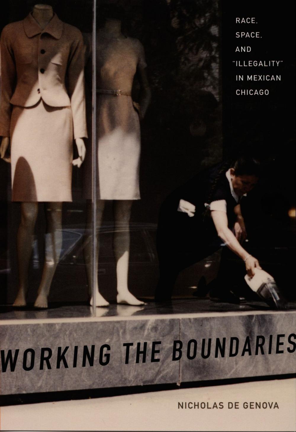 Big bigCover of Working the Boundaries