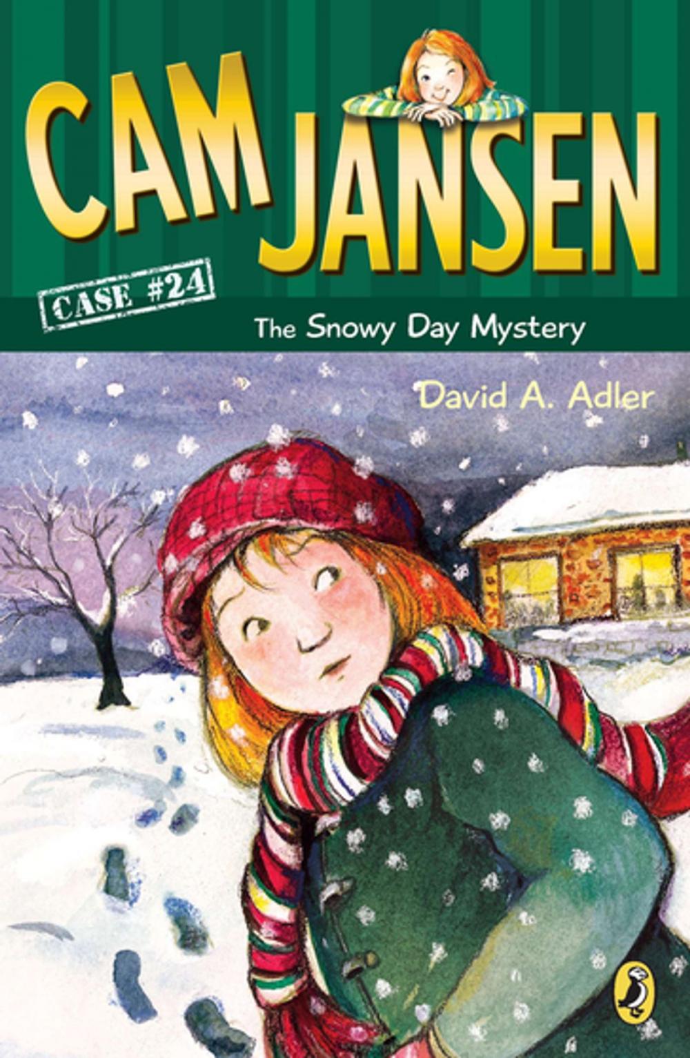 Big bigCover of Cam Jansen: The Snowy Day Mystery #24