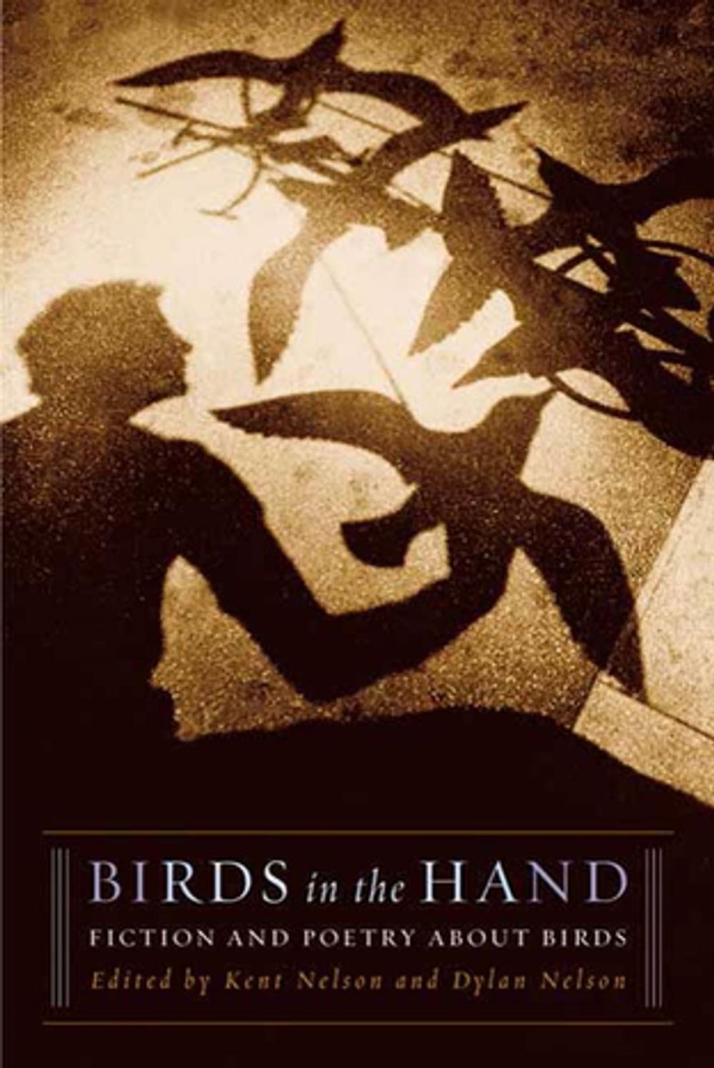 Big bigCover of Birds in the Hand