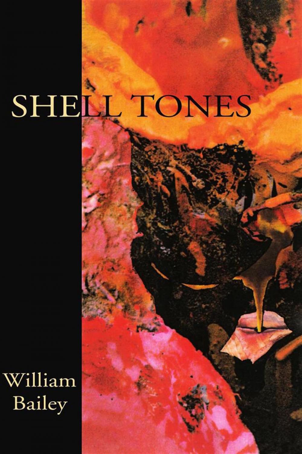 Big bigCover of Shell Tones