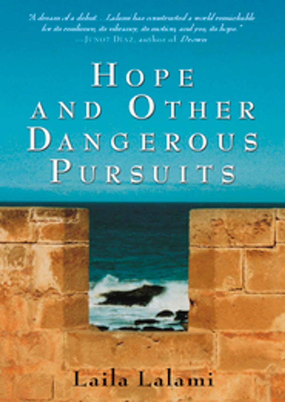 Big bigCover of Hope and Other Dangerous Pursuits