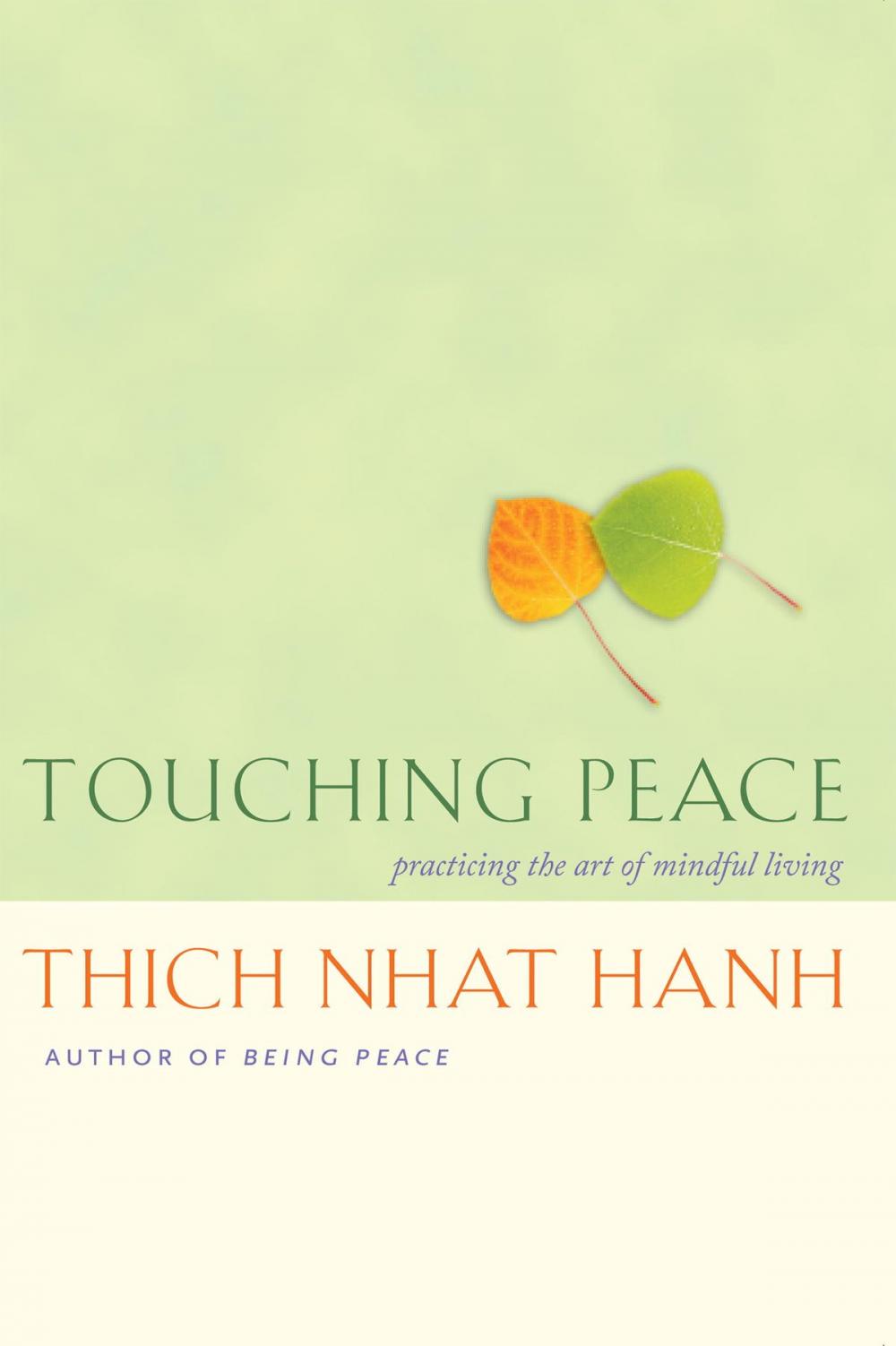 Big bigCover of Touching Peace