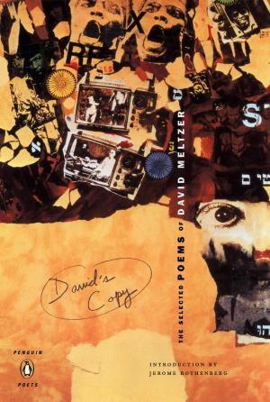 Cover of the book David's Copy by Sandun Mendis