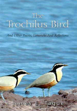 Cover of the book The Trochilus Bird by Jeff Chen