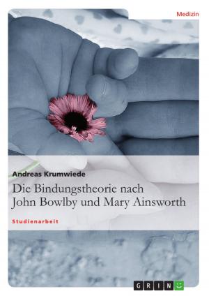Book cover of Die Bindungstheorie nach John Bowlby und Mary Ainsworth