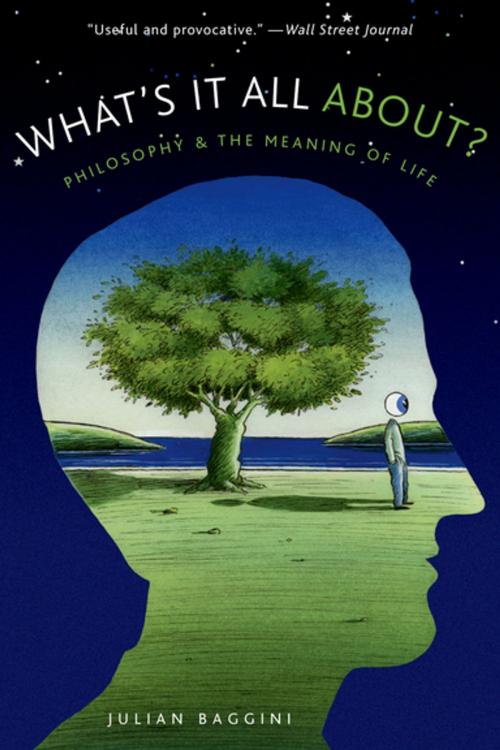 Cover of the book What's It All About? by Julian Baggini, Oxford University Press