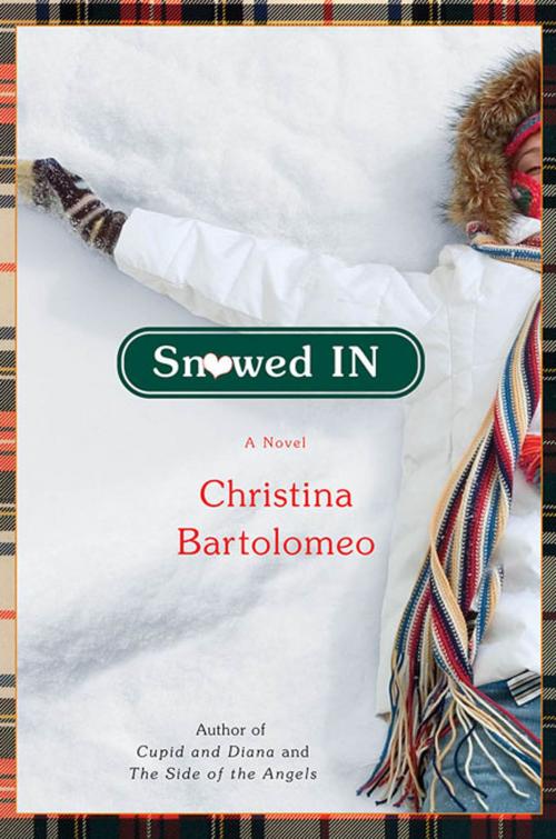 Cover of the book Snowed In by Christina Bartolomeo, St. Martin's Press