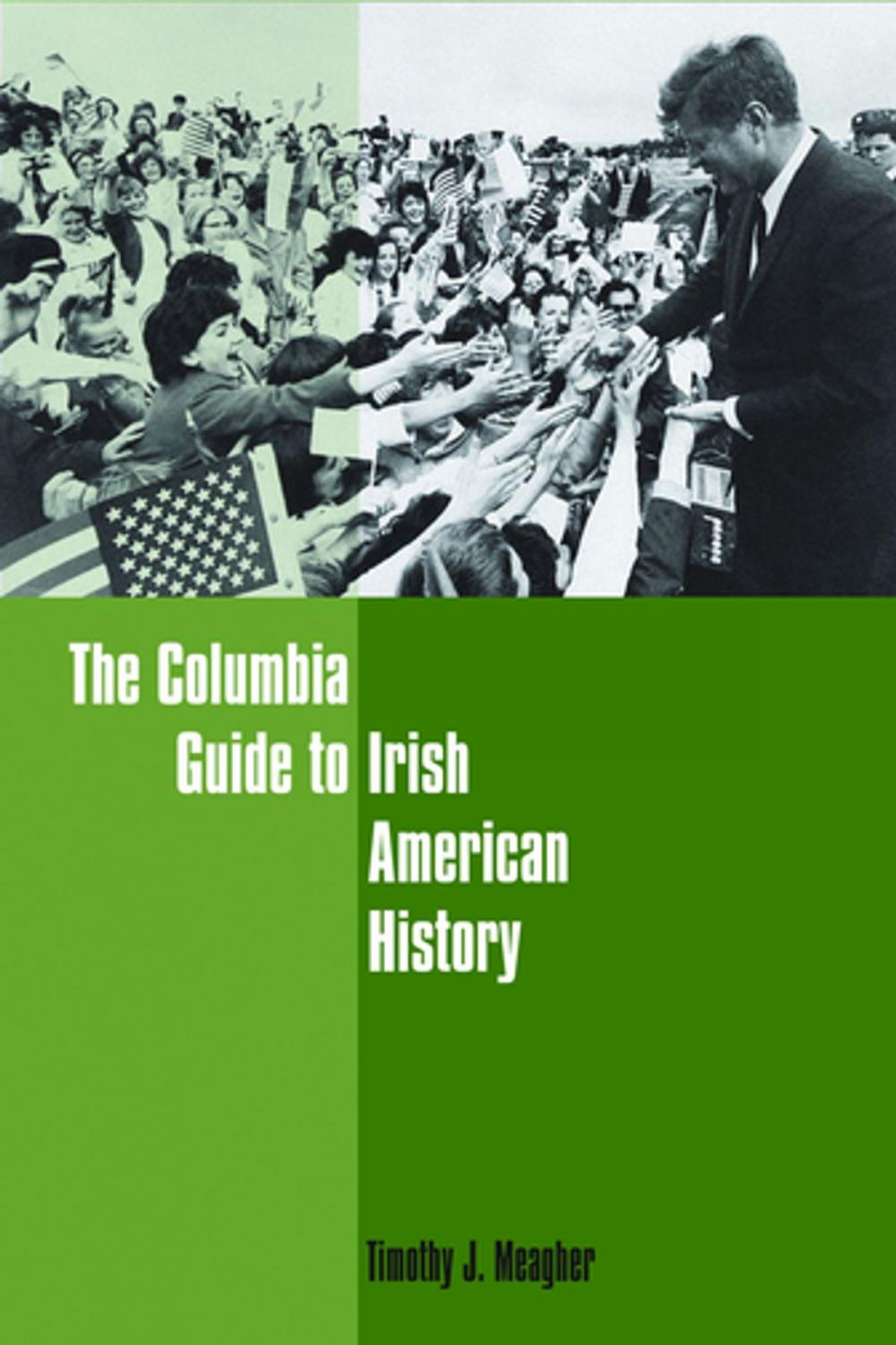 Big bigCover of The Columbia Guide to Irish American History