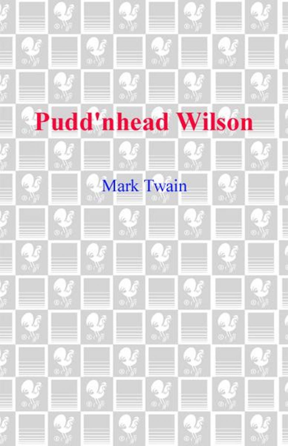 Big bigCover of Pudd'nhead Wilson