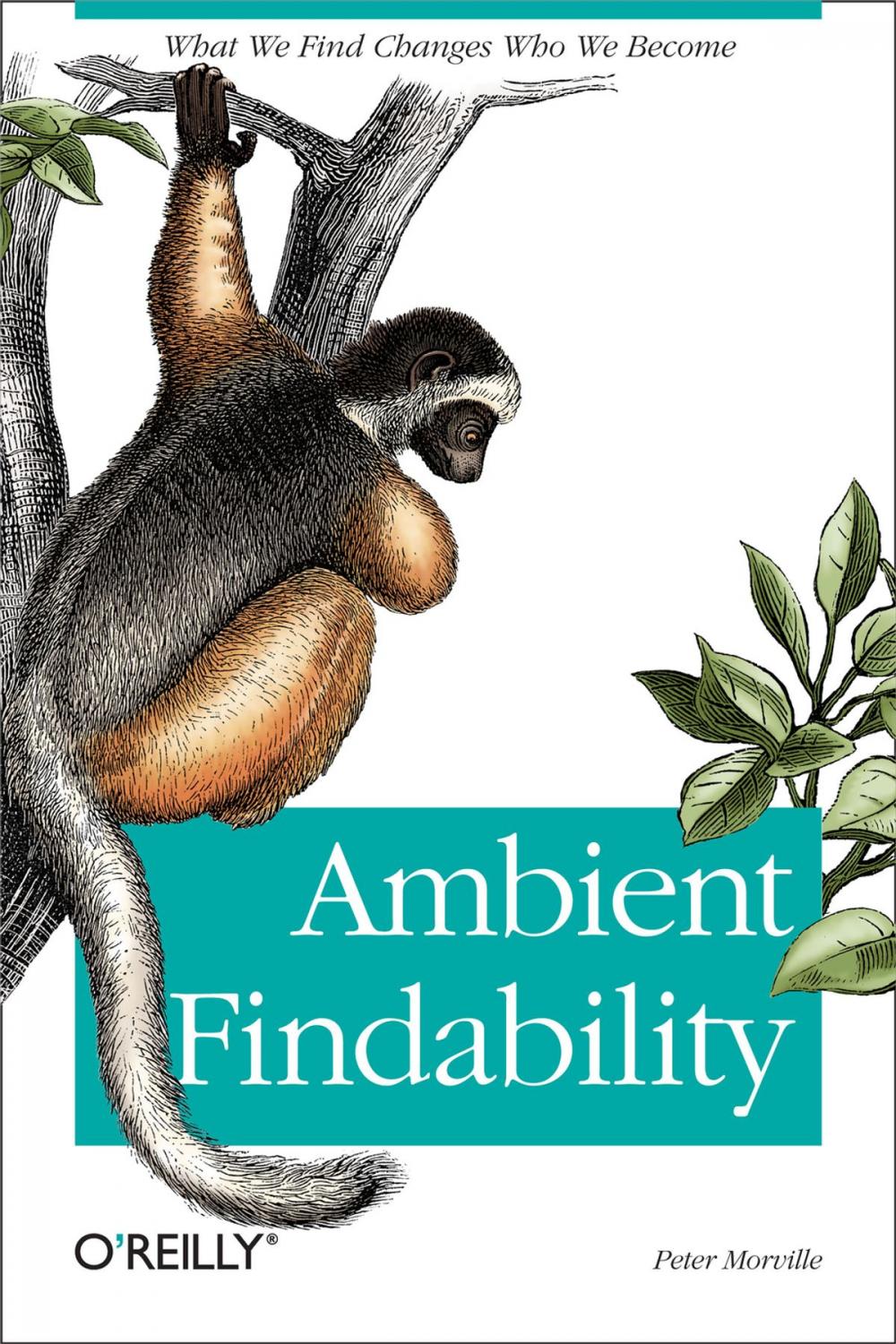 Big bigCover of Ambient Findability