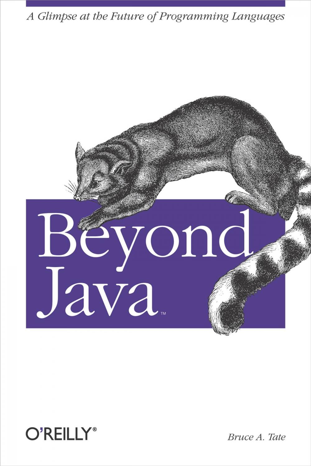 Big bigCover of Beyond Java