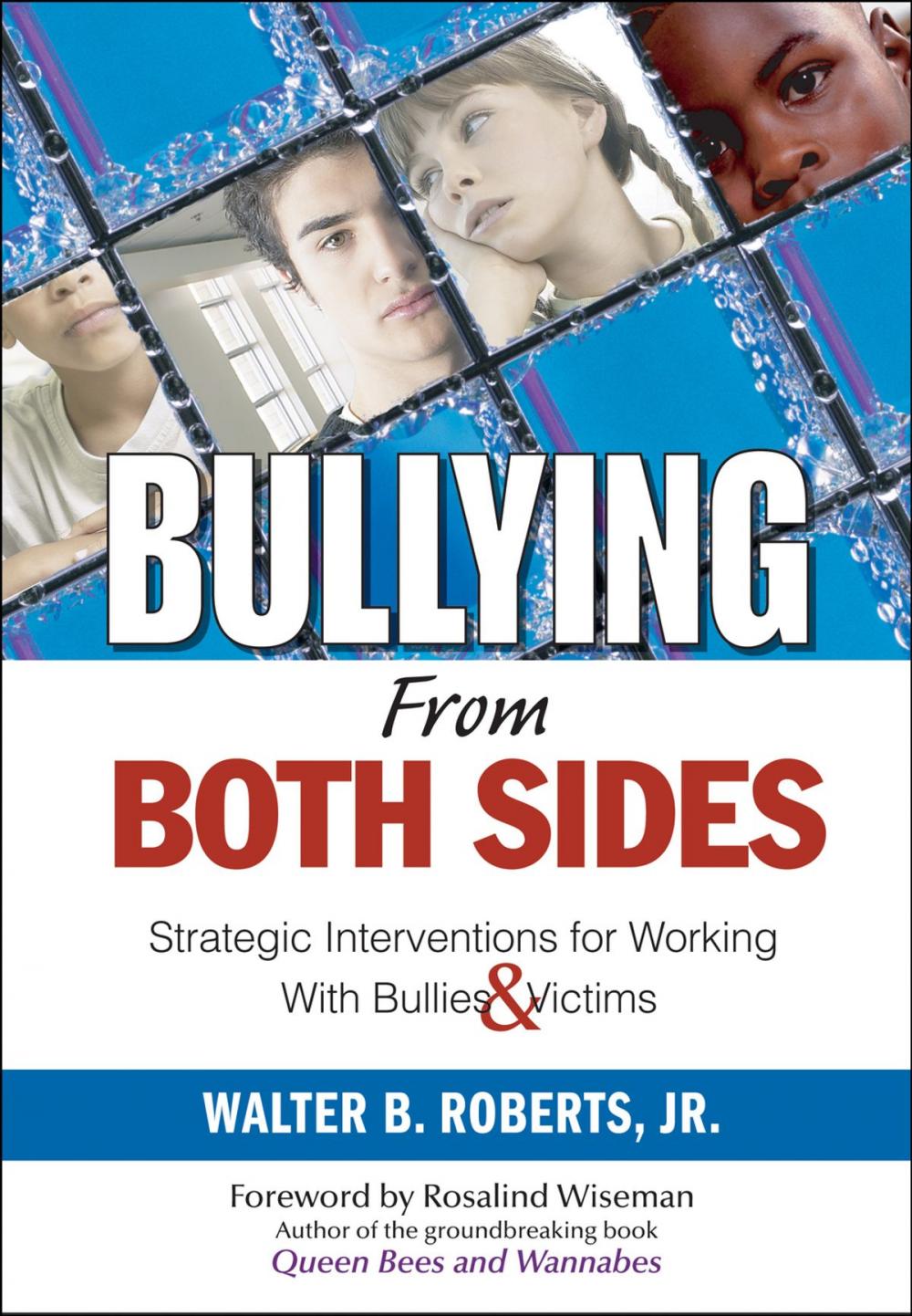 Big bigCover of Bullying From Both Sides