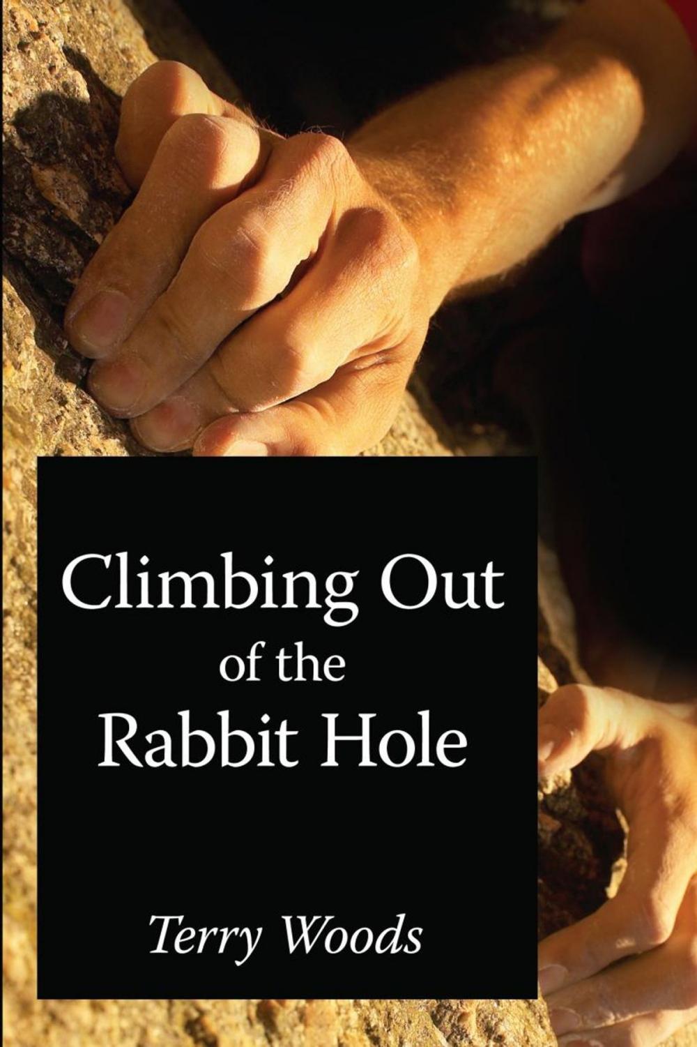 Big bigCover of Climbing out of the Rabbit Hole