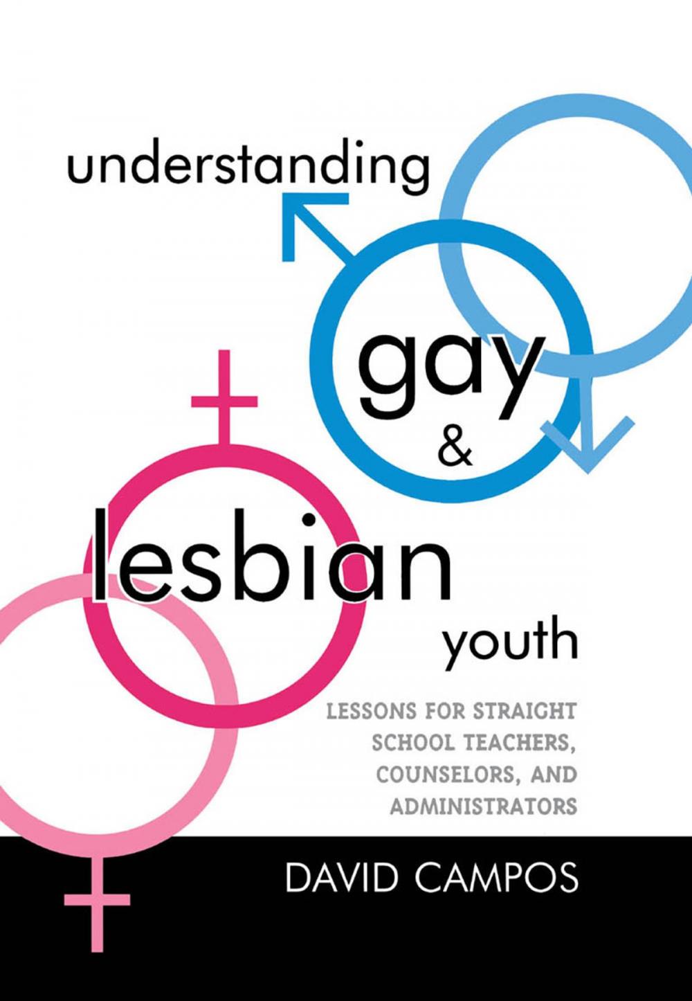 Big bigCover of Understanding Gay and Lesbian Youth