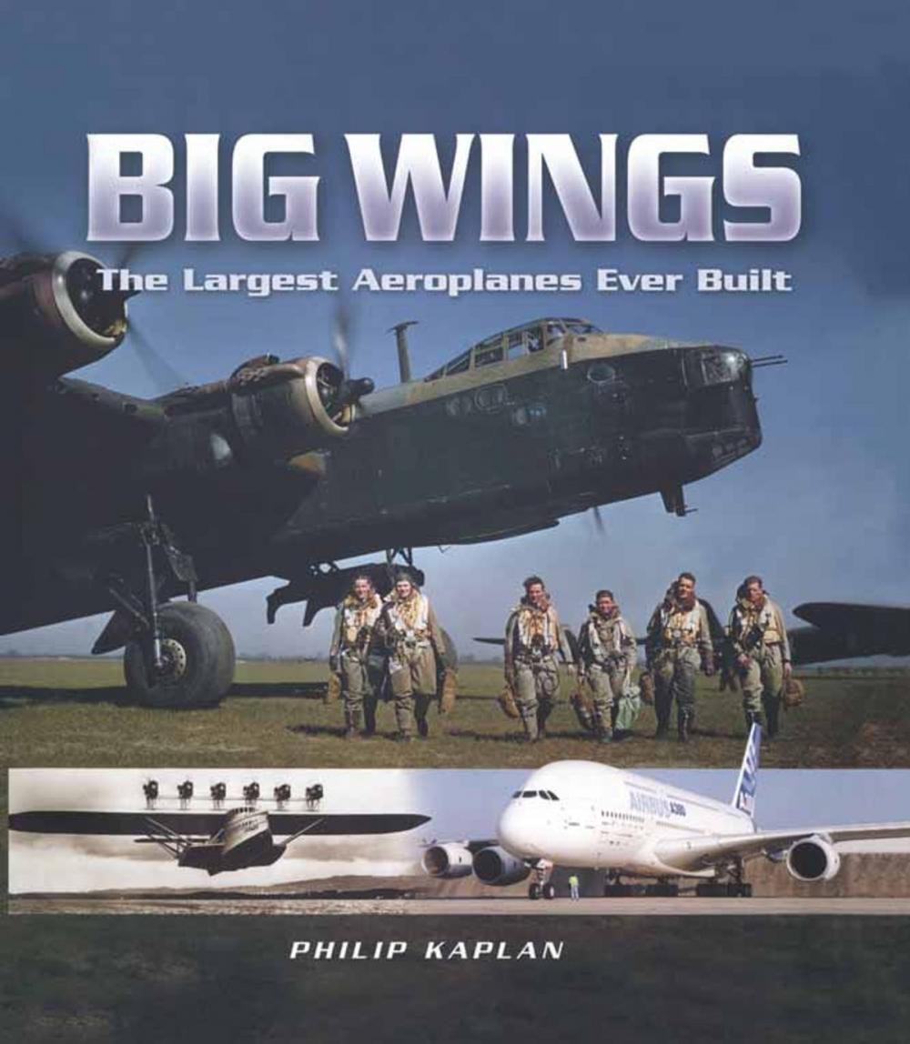 Big bigCover of Big Wings