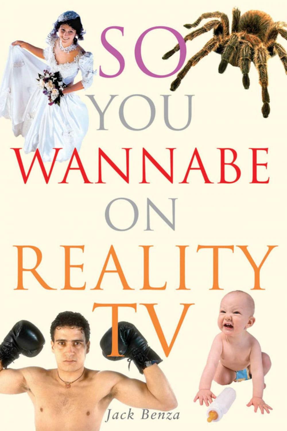 Big bigCover of So You Wannabe on Reality TV