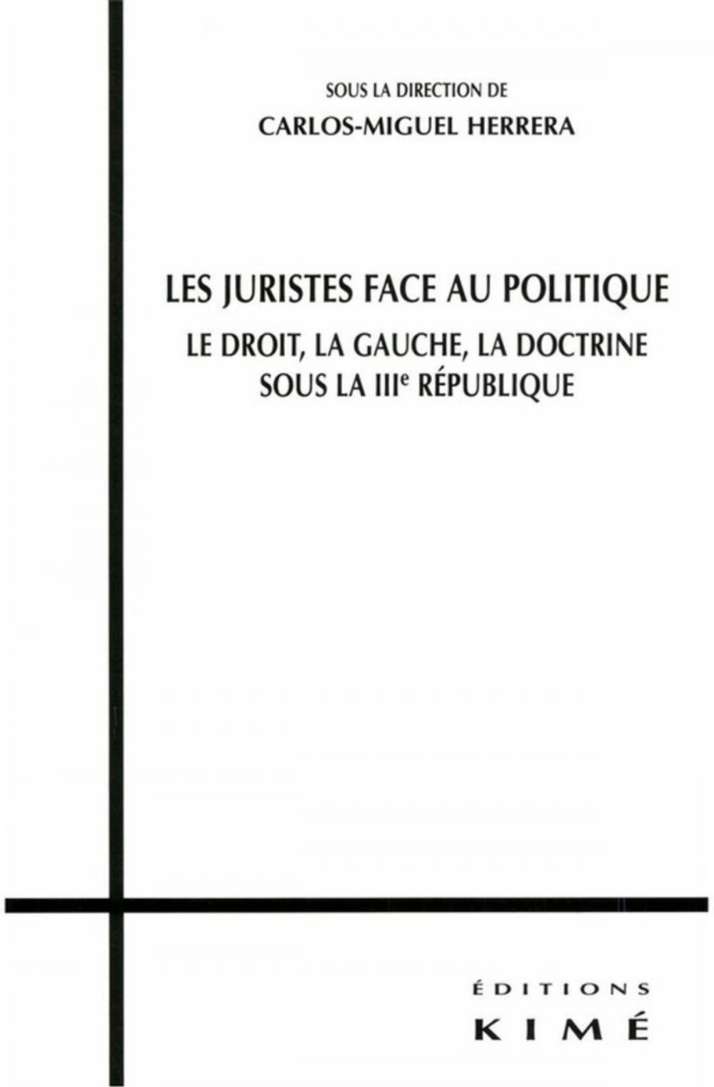 Big bigCover of LES JURISTES FACE AU POLITIQUE