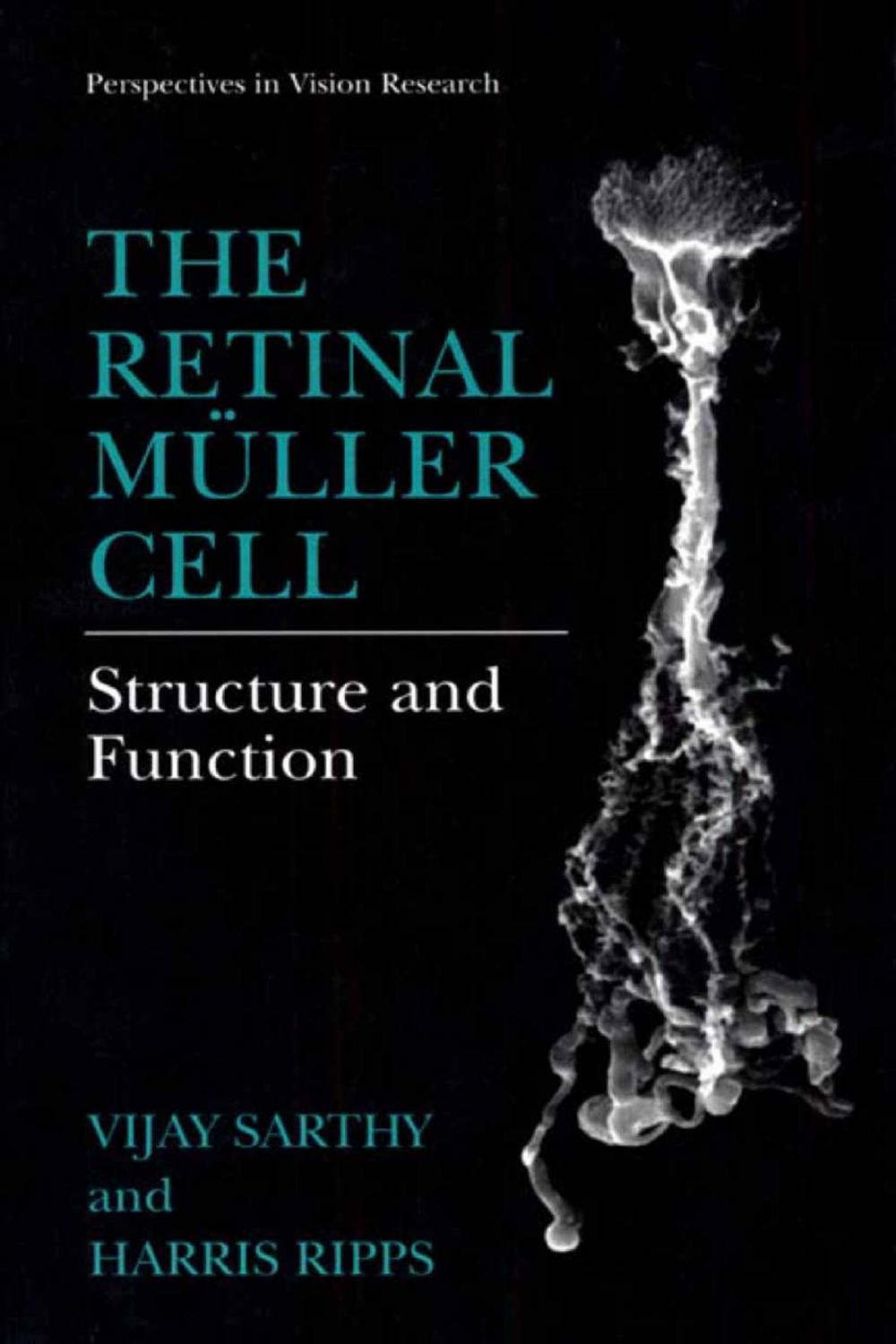 Big bigCover of The Retinal Müller Cell