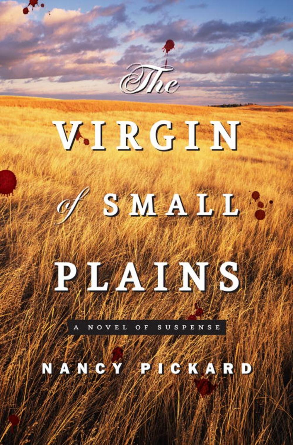 Big bigCover of The Virgin of Small Plains