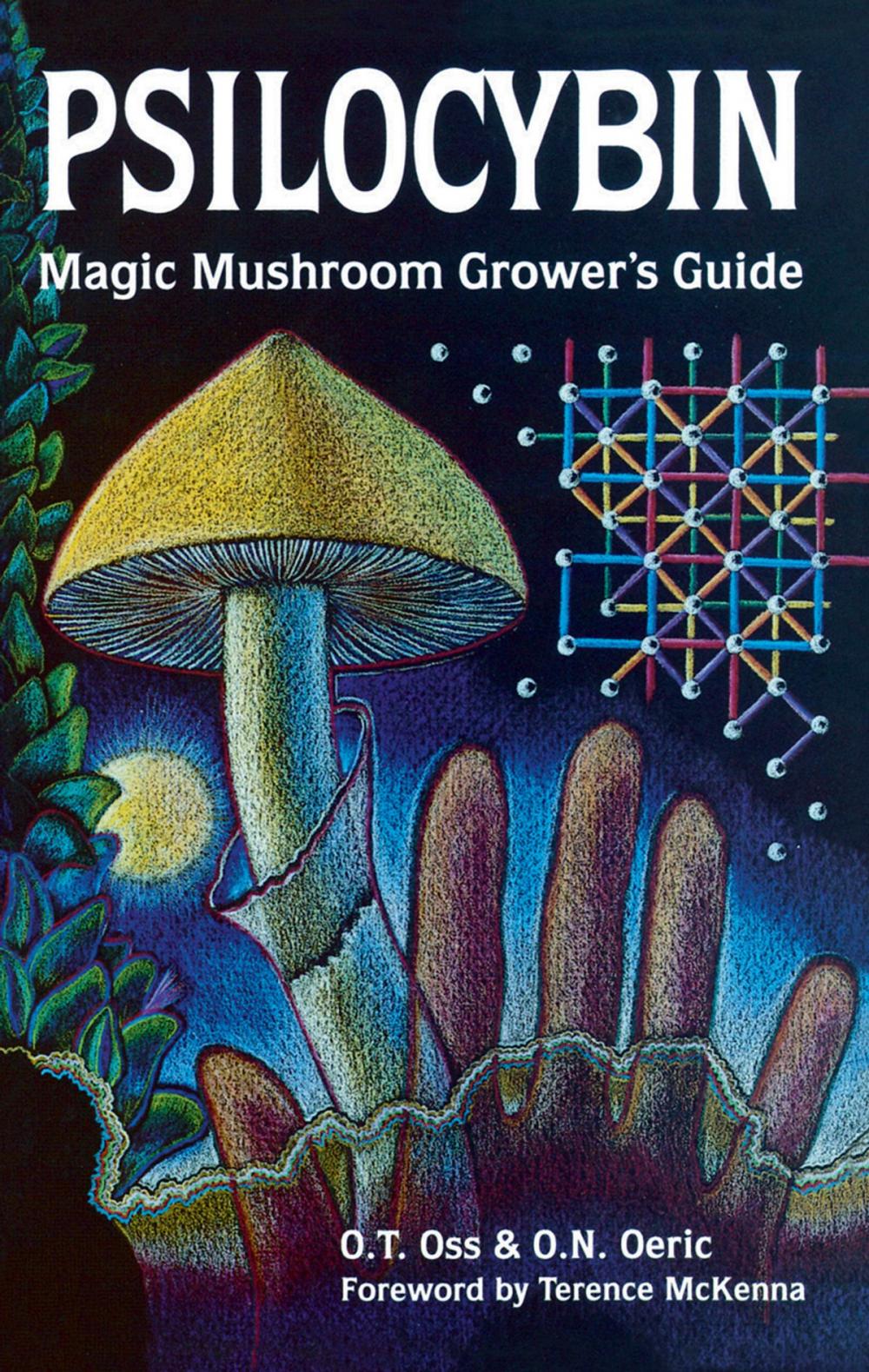 Big bigCover of Psilocybin: Magic Mushroom Grower's Guide