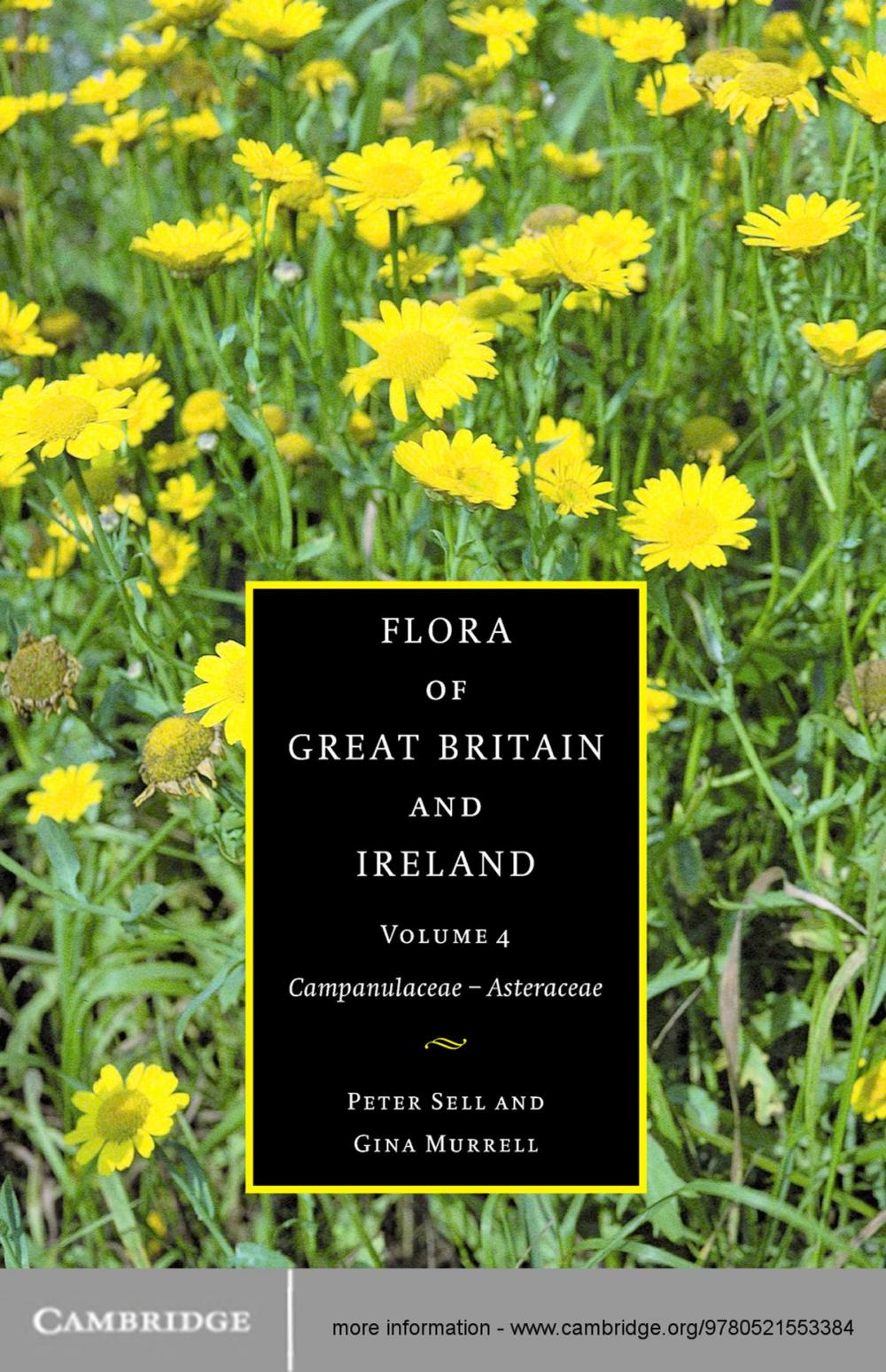 Big bigCover of Flora of Great Britain and Ireland: Volume 4, Campanulaceae - Asteraceae