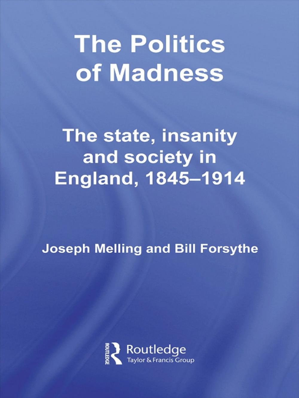 Big bigCover of The Politics of Madness