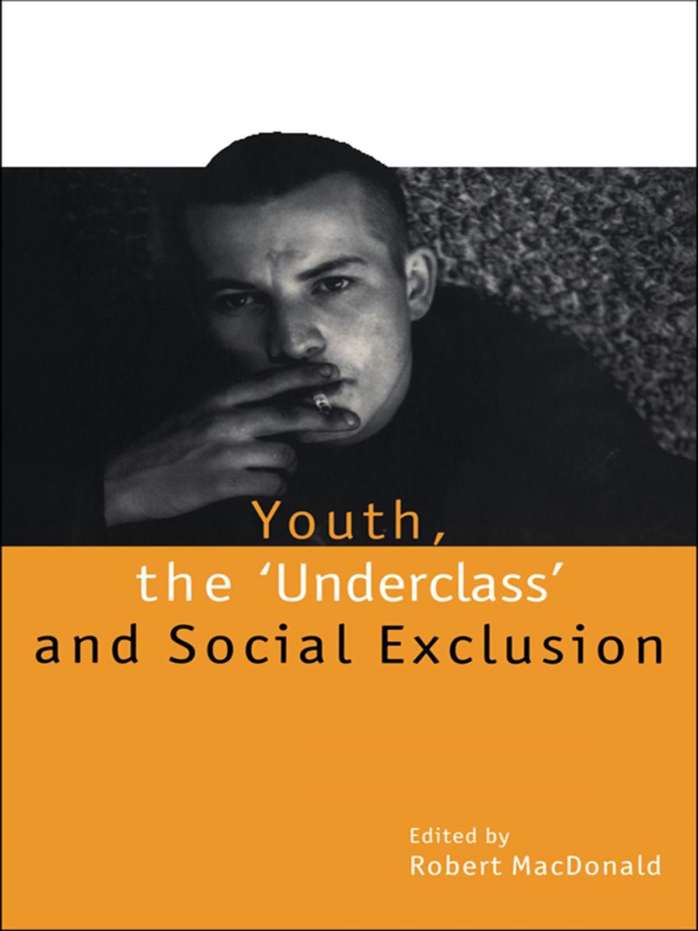 Big bigCover of Youth, The 'Underclass' and Social Exclusion