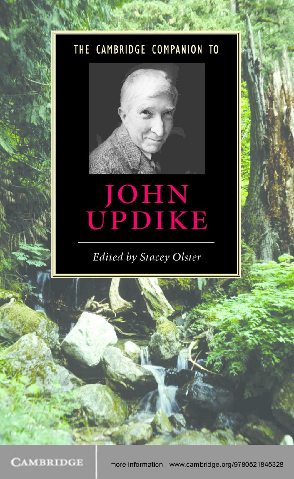 Big bigCover of The Cambridge Companion to John Updike