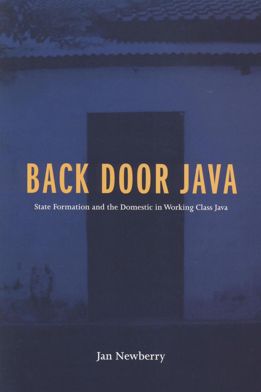 Big bigCover of Back Door Java