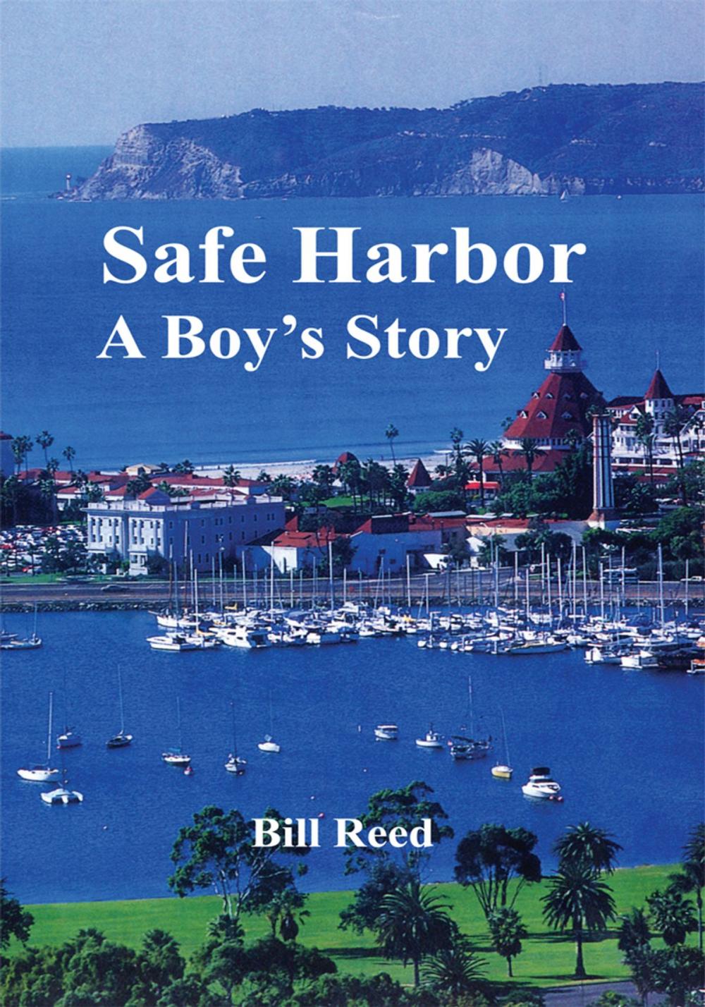 Big bigCover of Safe Harbor