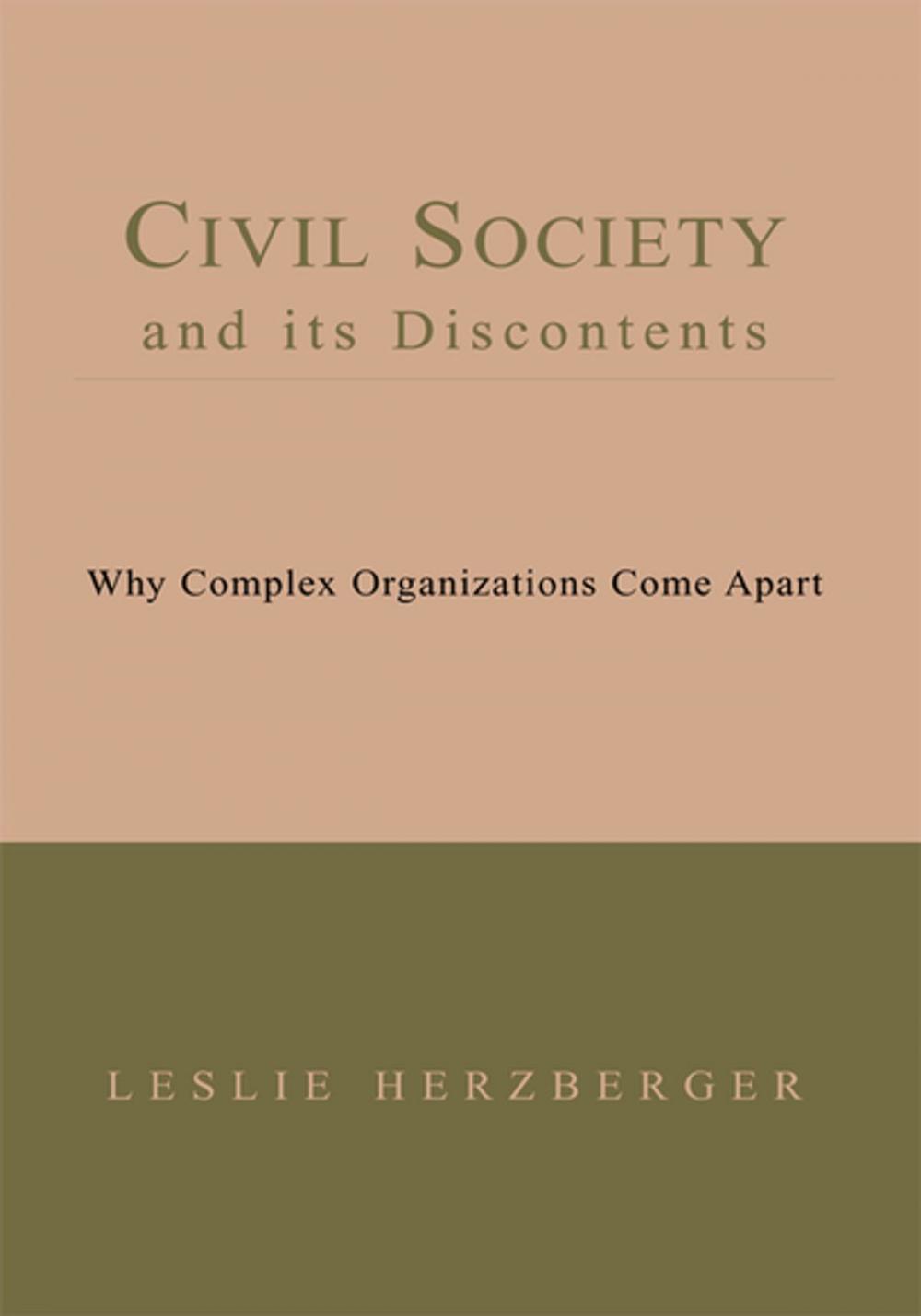 Big bigCover of Civil Society and Its Discontents
