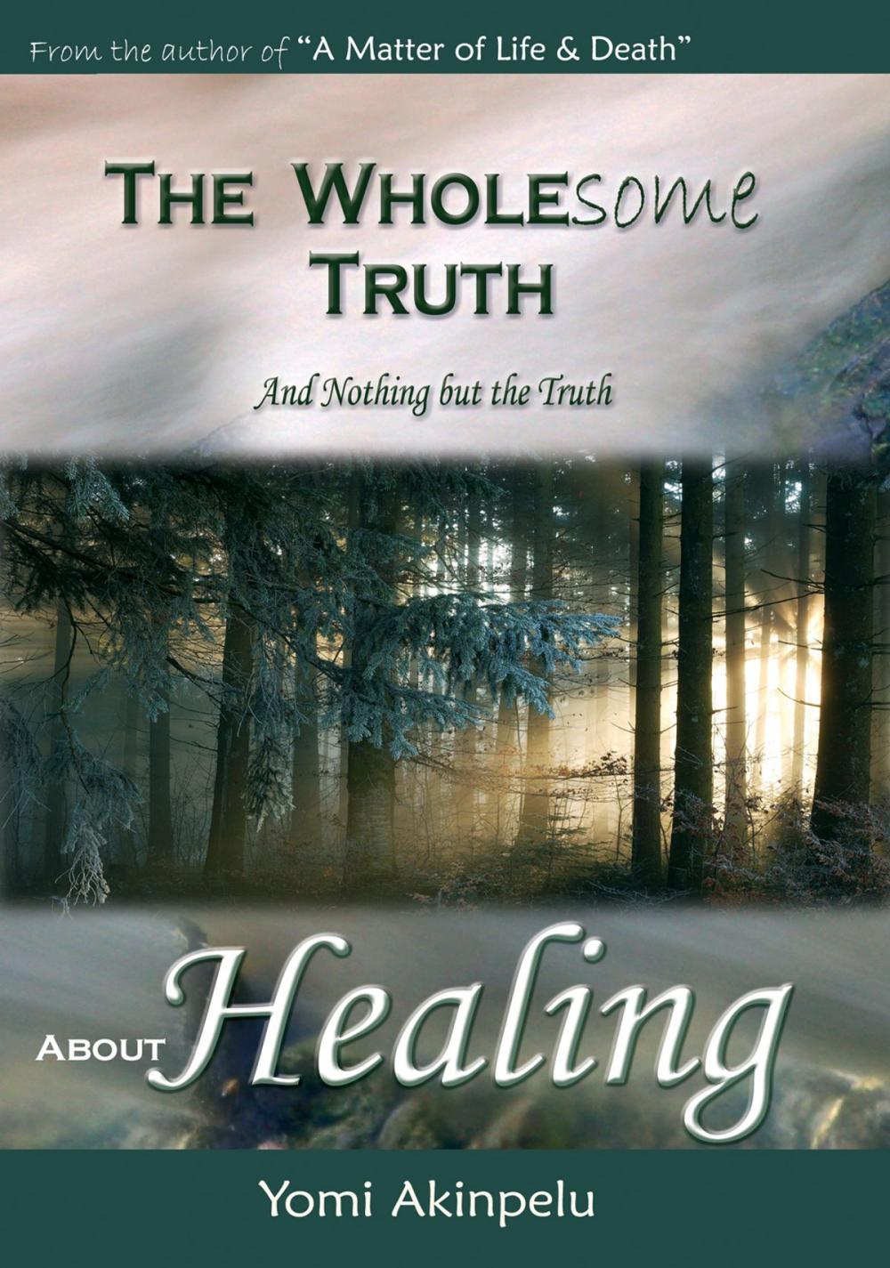 Big bigCover of The Wholesome Truth about Healing