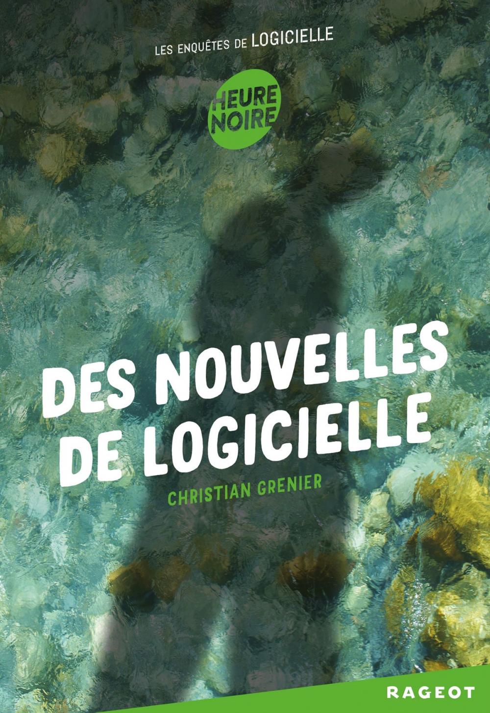 Big bigCover of Des nouvelles de Logicielle