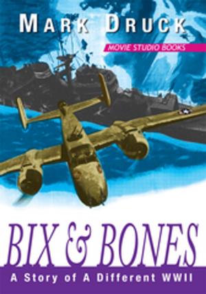 Cover of the book Bix & Bones by Troy D. Ehlke