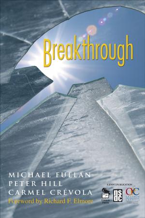 Cover of the book Breakthrough by Lesley A Hughes, Professor Paul W Cooper