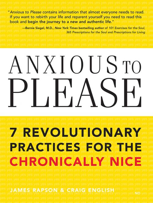 Cover of the book Anxious to Please by James Rapson, Craig English, Sourcebooks