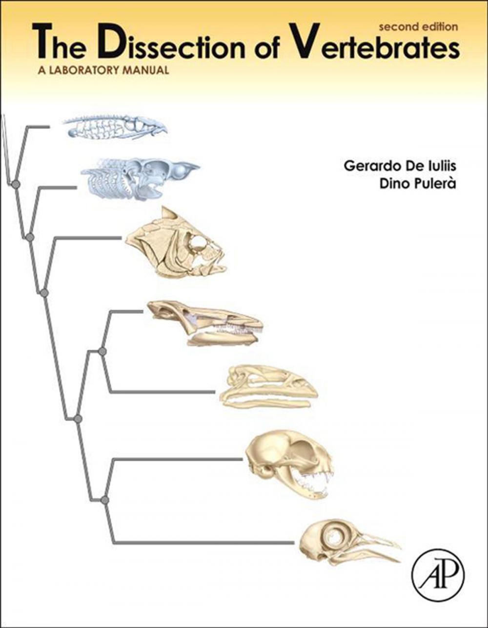 Big bigCover of The Dissection of Vertebrates