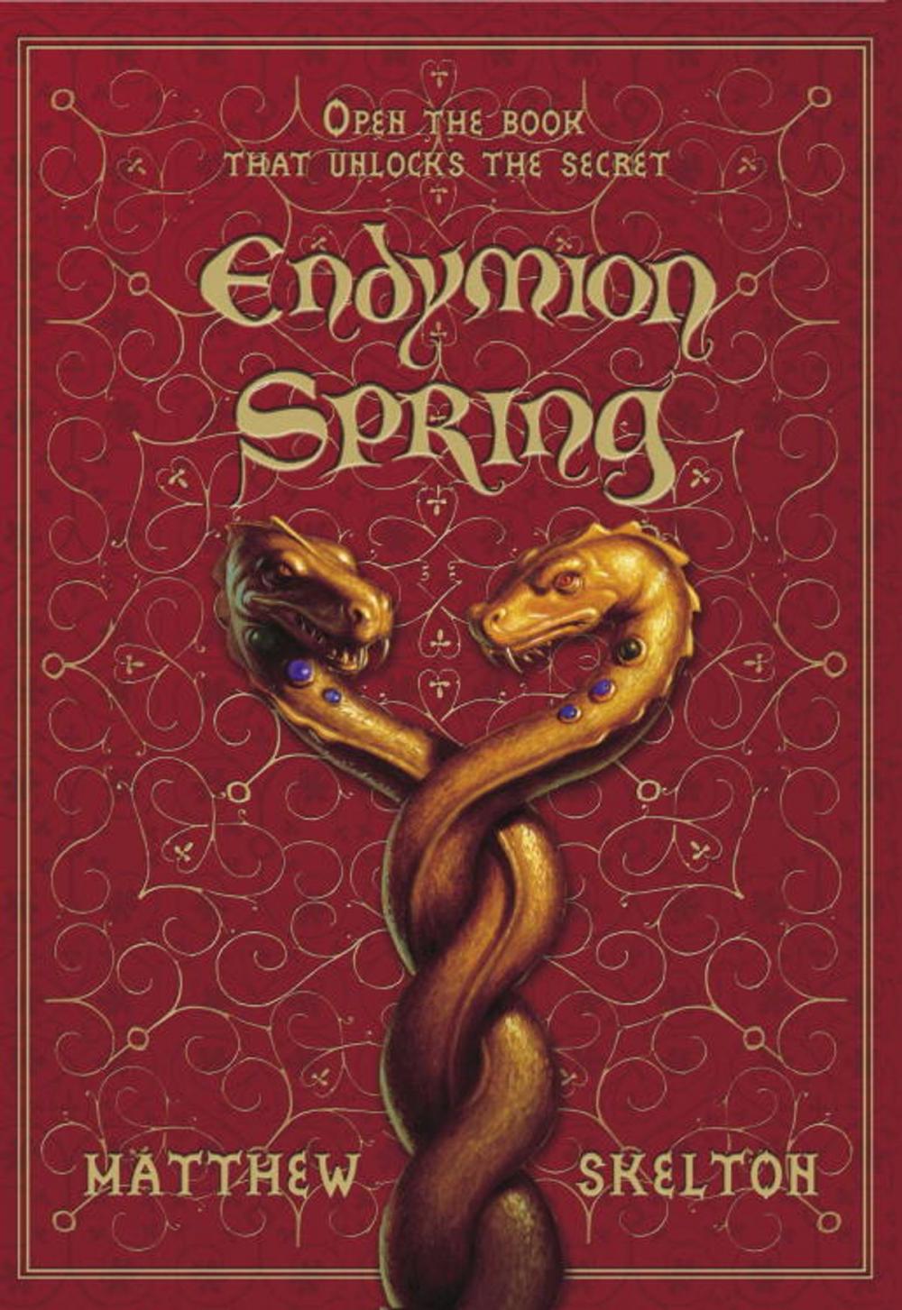 Big bigCover of Endymion Spring