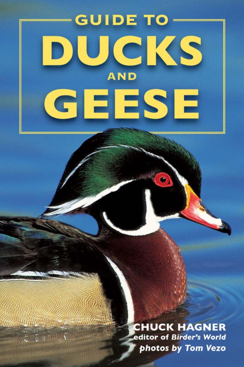 Big bigCover of Guide to Ducks and Geese