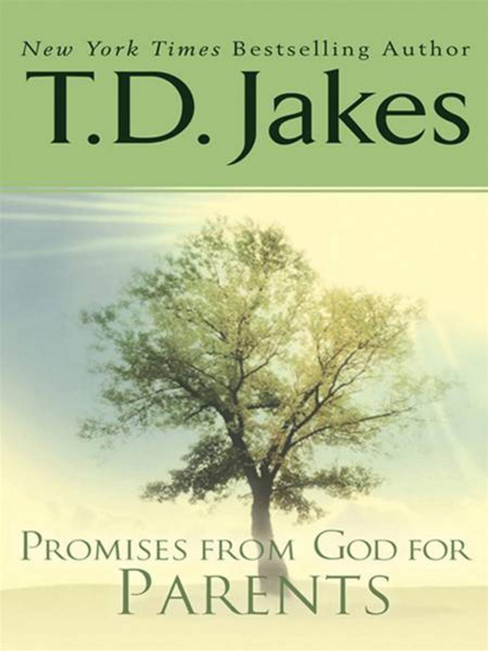 Big bigCover of Promises from God for Parents