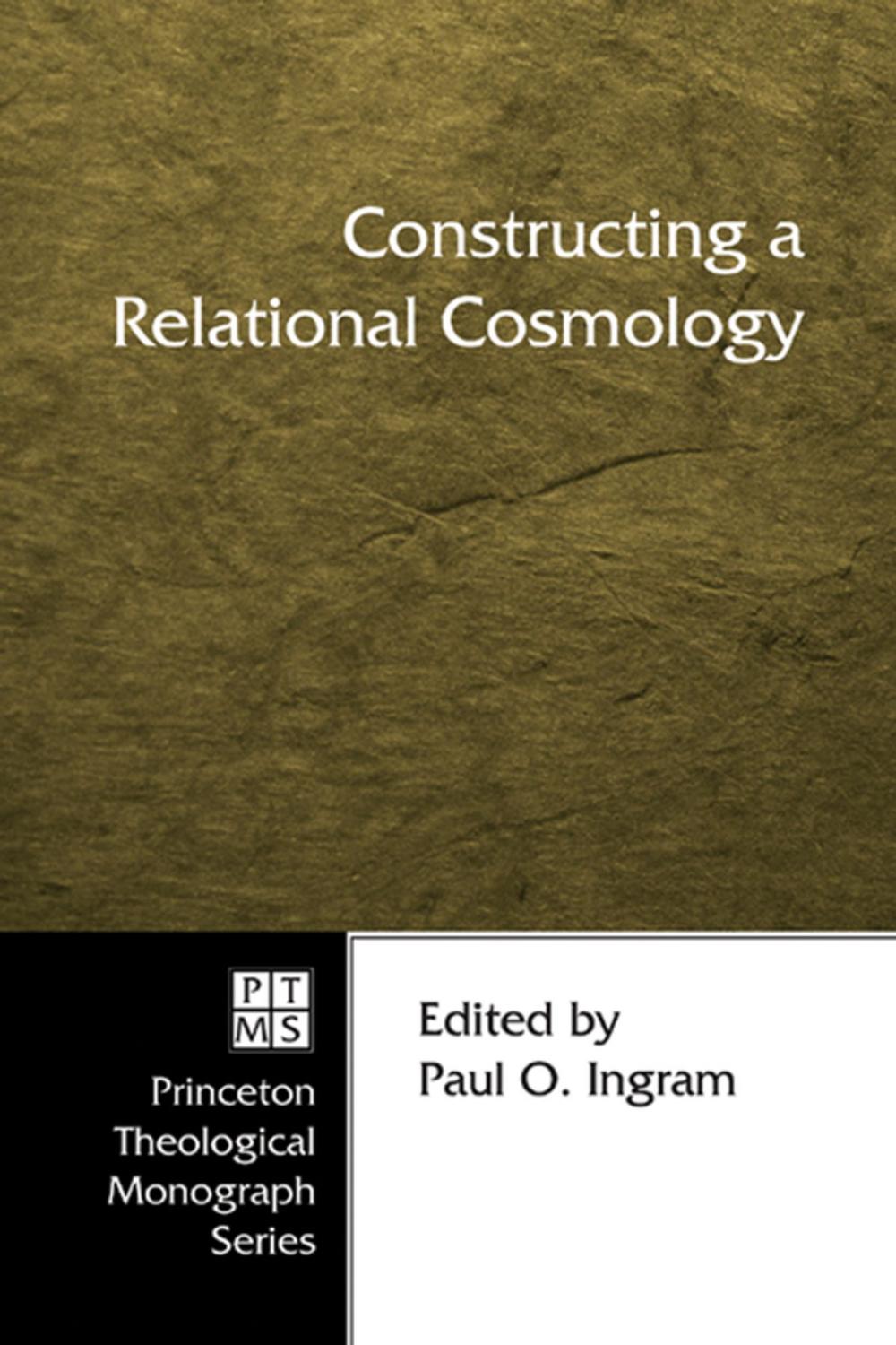 Big bigCover of Constructing a Relational Cosmology