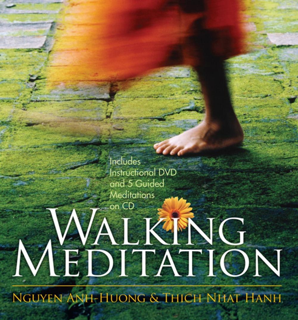 Big bigCover of Walking Meditation